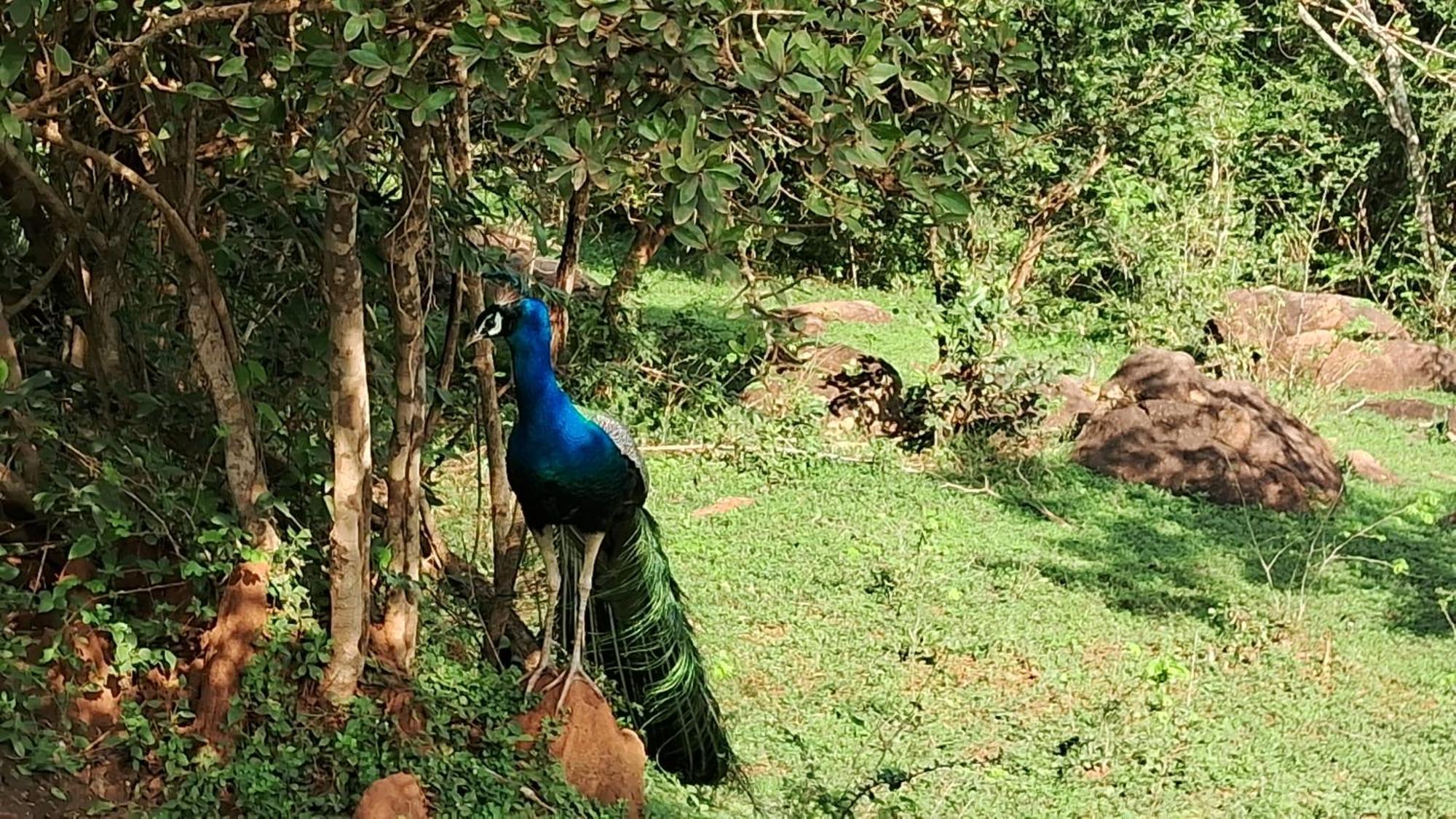 Rko Villa27 Habaraduwa Luaran gambar